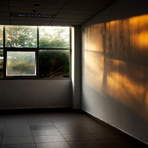Photo #13888479