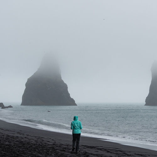 Photo #13888512