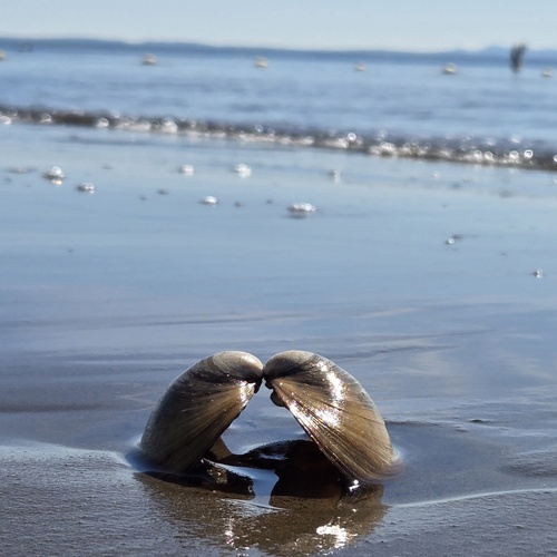 Photo #13888532