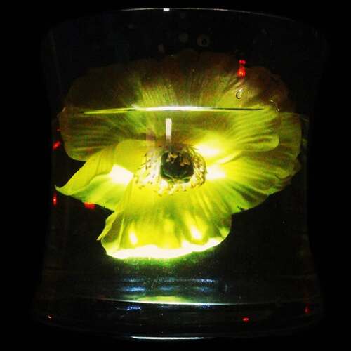 Photo #13888554