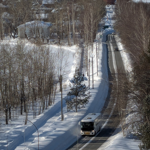 Photo #13888568