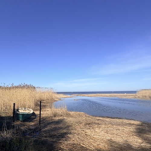 Photo #13888576