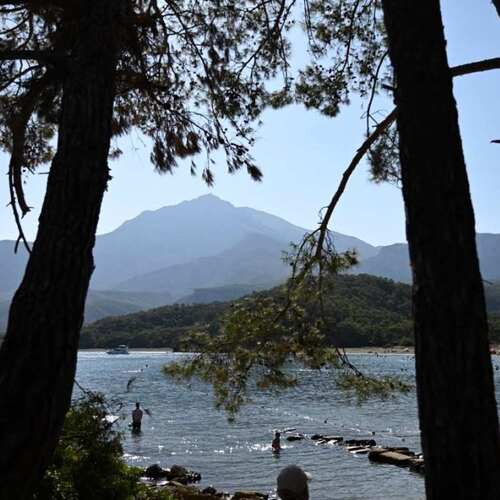 Photo #13888610
