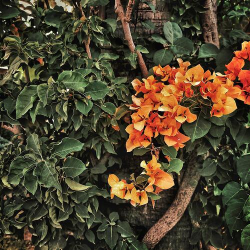 Photo #13888677
