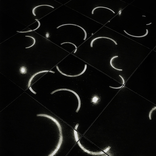 Photo #13888679