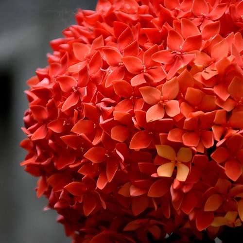 Photo #13888748