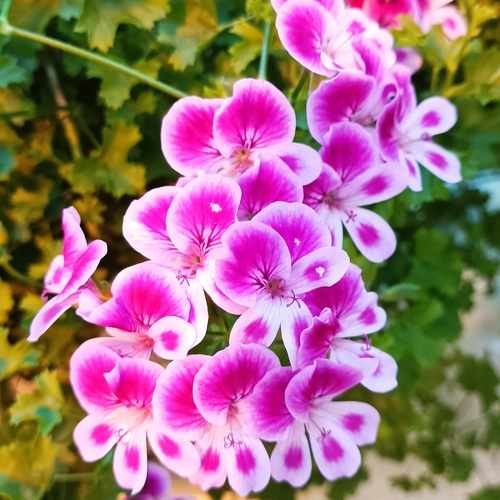 Photo #13888781