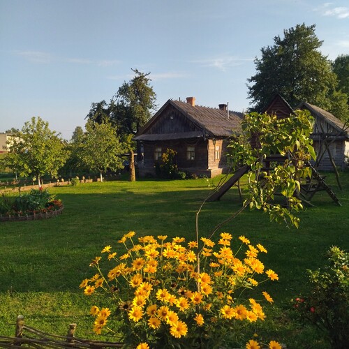Photo #13888807
