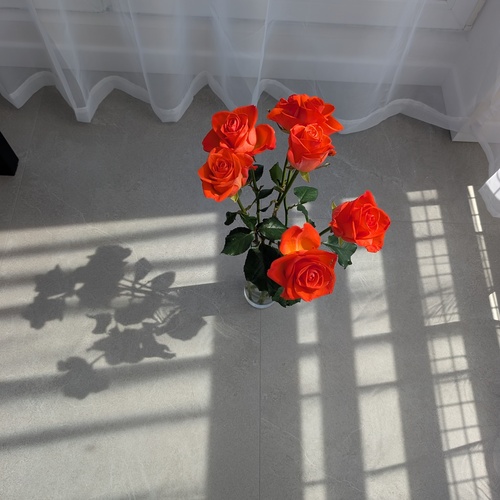 Photo #13888890