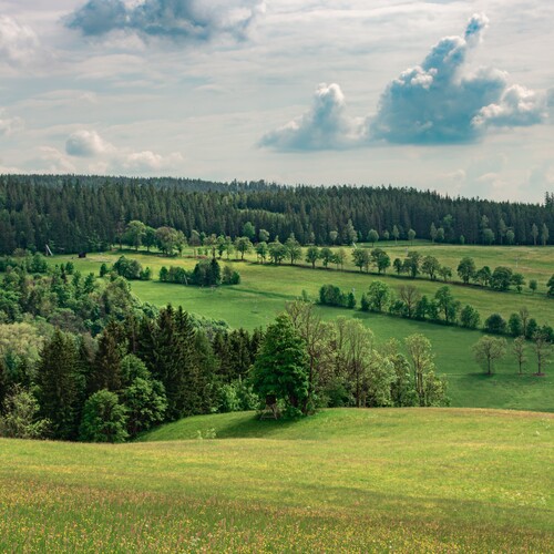 Photo #13888932