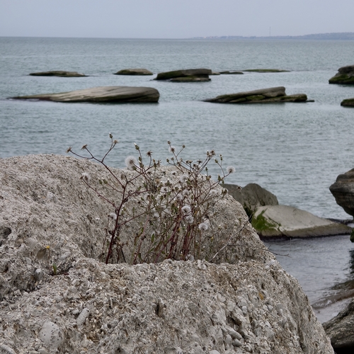 Photo #13889017