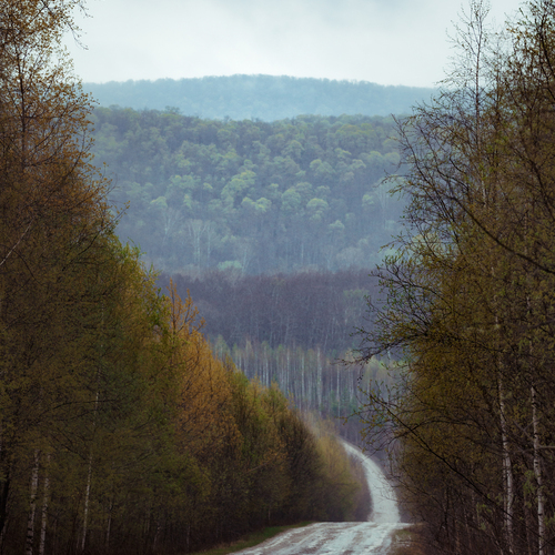 Photo #13889033