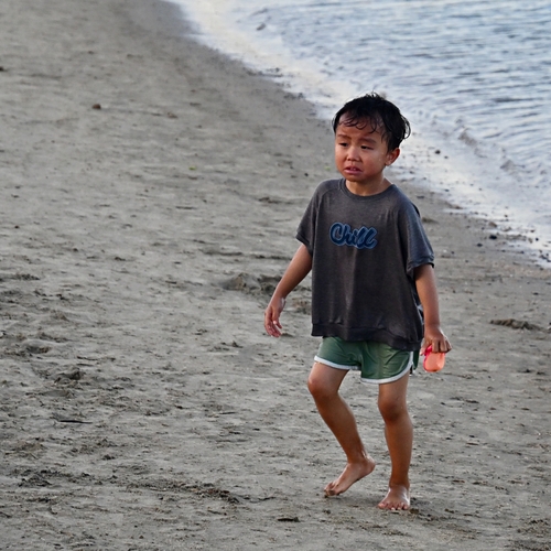 Photo #13889144