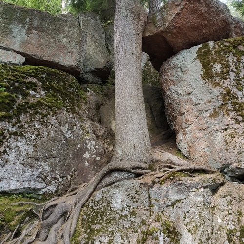 Photo #13889184