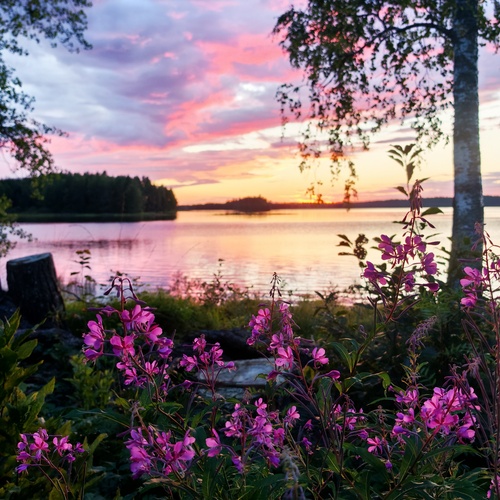 Photo #13889265