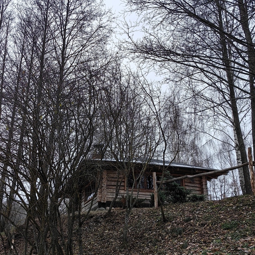 Photo #13889280