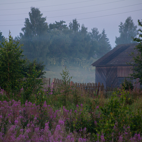 Photo #13889297