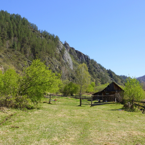 Photo #13889314