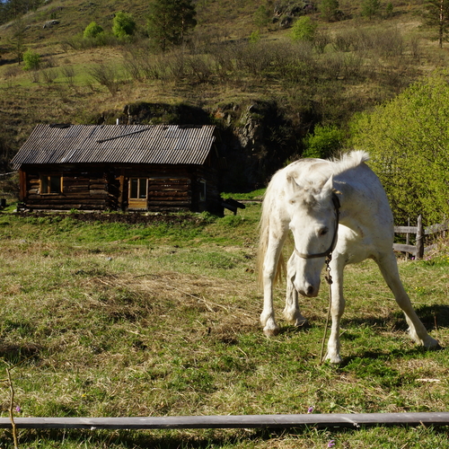 Photo #13889317