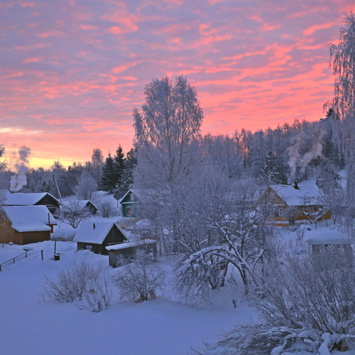 Photo #13889369