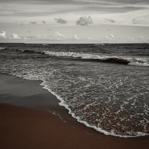 Photo #13889370
