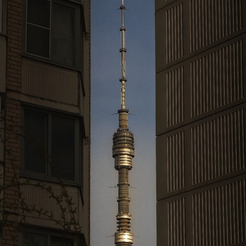 Photo #13889502
