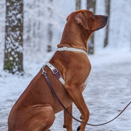 Photo #13889624