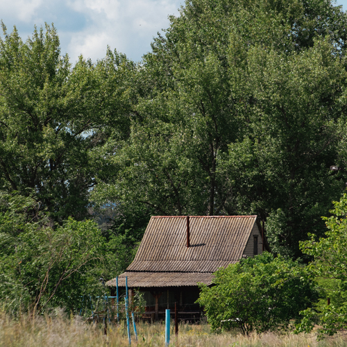 Photo #13889629