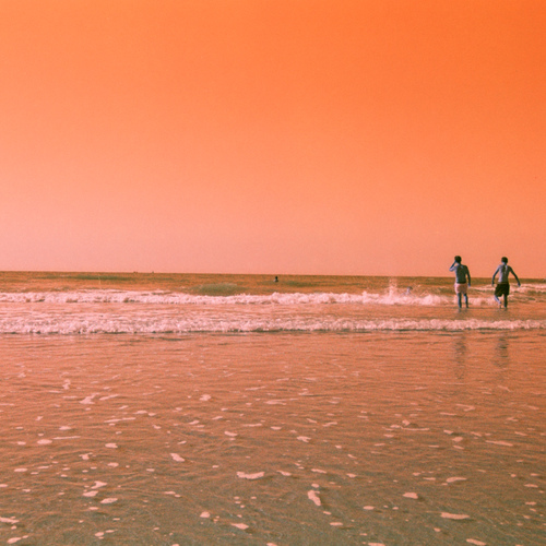 Photo #13889637