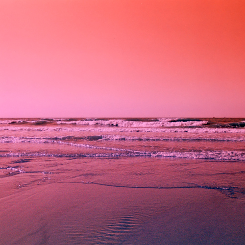 Photo #13889643