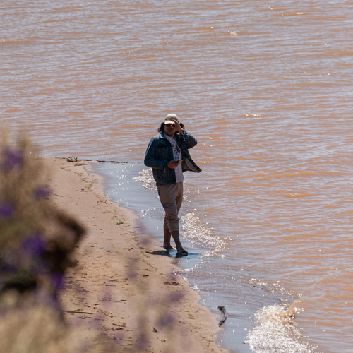 Photo #13889645