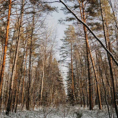 Photo #13889716