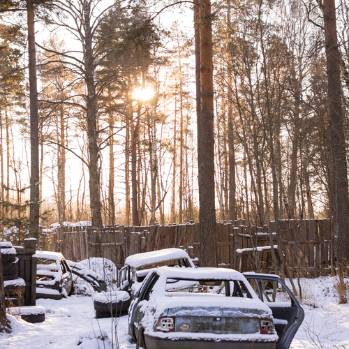 Photo #13889721