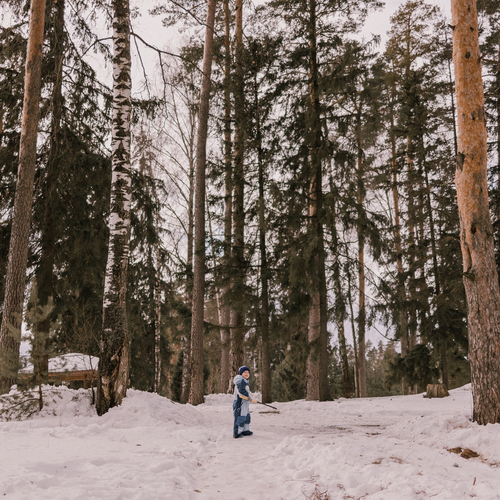 Photo #13889723