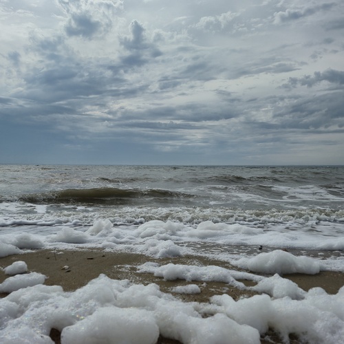 Photo #13889803