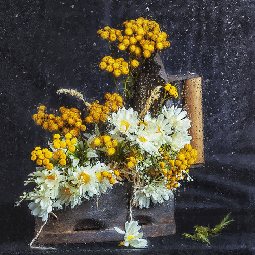 Photo #13889901