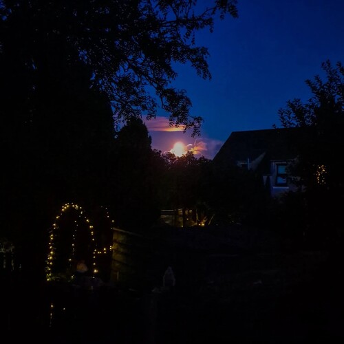 Photo #13889969
