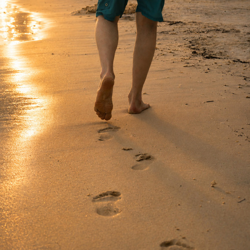 Photo #13890007