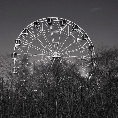 Photo #13890022