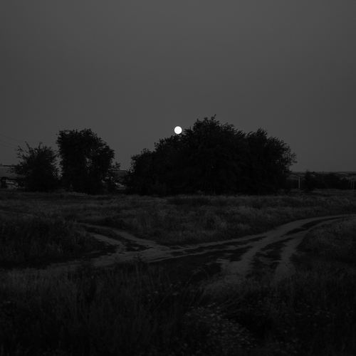 Photo #13890169