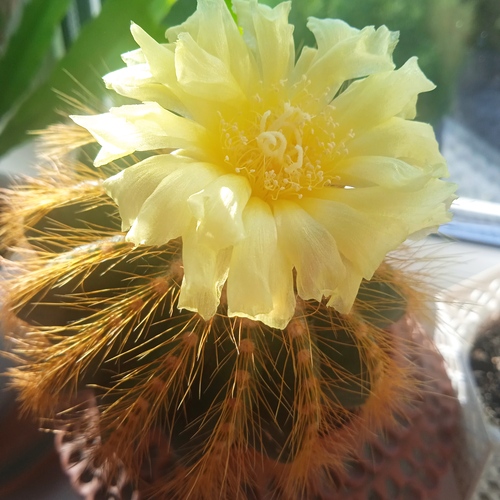 Photo #13890213