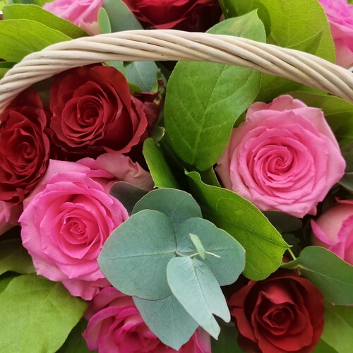 Photo #13890478