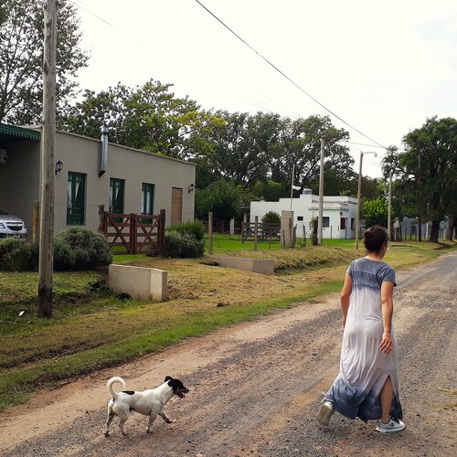 Photo #13890530