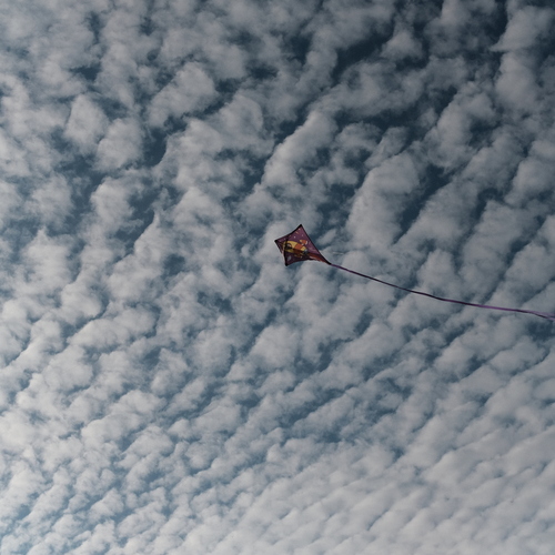 Photo #13890584