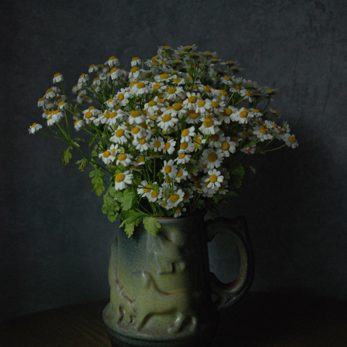 Photo #13890610