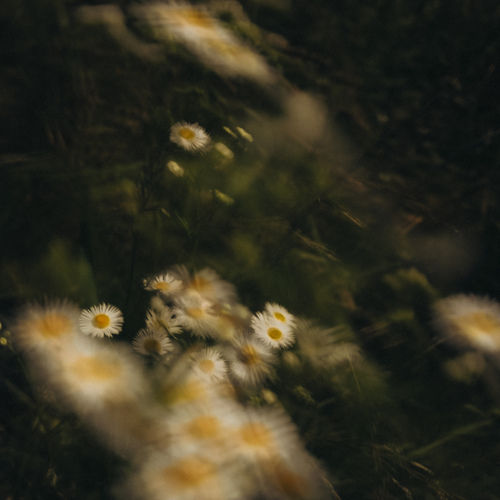 Photo #13890642
