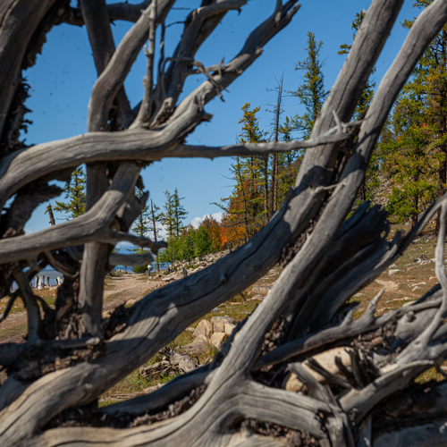 Photo #13890744