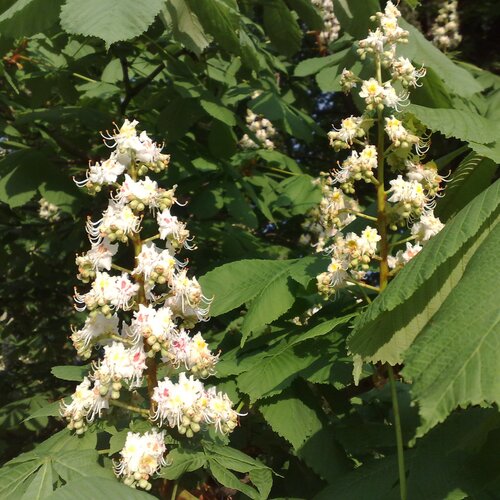 Photo #13890765