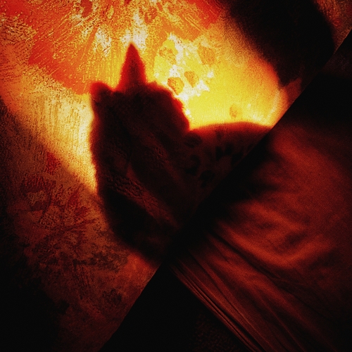 Photo #13890766
