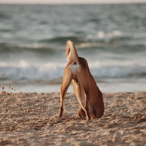 Photo #13890786